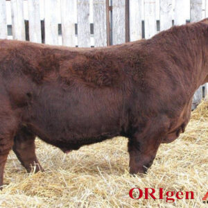 ISO: RFS Bulletproof B42 Semen