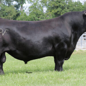 Deer Valley Growth Fund