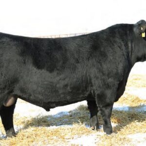 SAV Early Arrival 0903