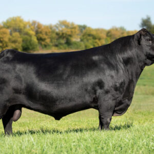 Spring Cove Compound 12E